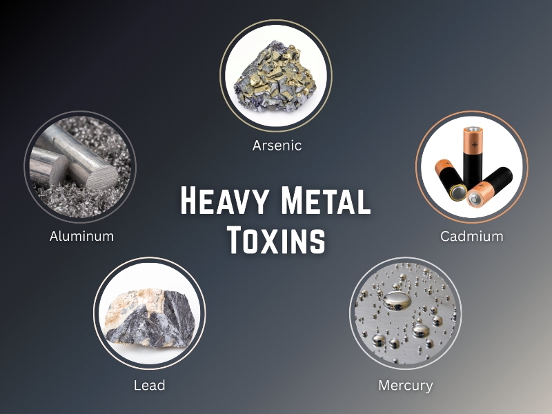 Heavy Metals Toxicity Glendale, CA 