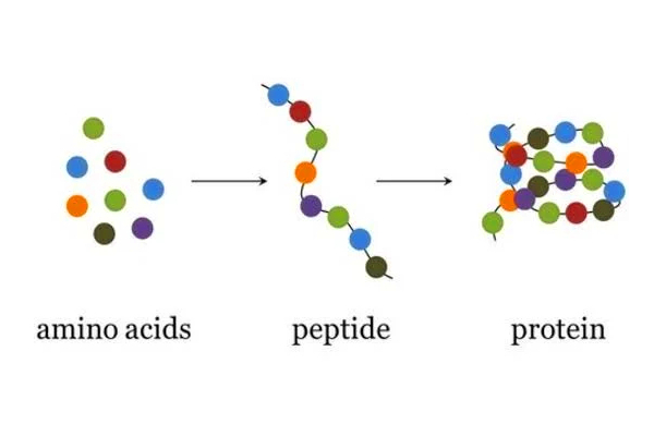 Peptides Glendale, CA 